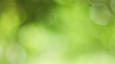 Güneşli, soyut yeşil doğa arka planı, Bokeh ışığı, doğa, bahçe, bahar ve yaz mevsimi olan Görüntü Parkı