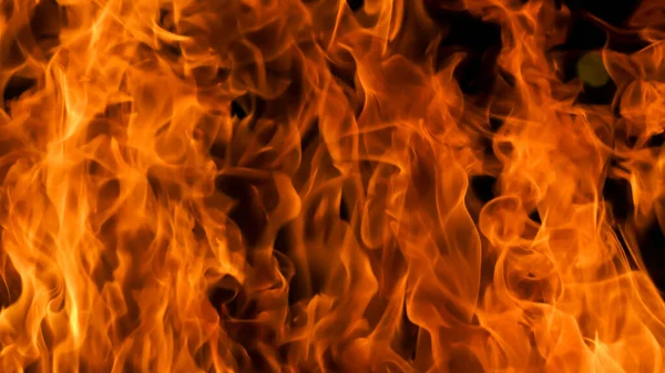 Blaze Fire Flame Texture Background — Stock Photo, Image