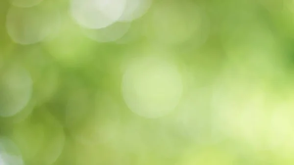 Sonnige Abstrakte Grüne Natur Hintergrund Blur Park Mit Bokeh Licht — Stockfoto