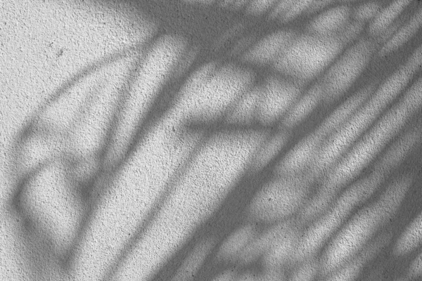 混凝土墙上阴影叶的黑白抽象背景纹理 — 图库照片