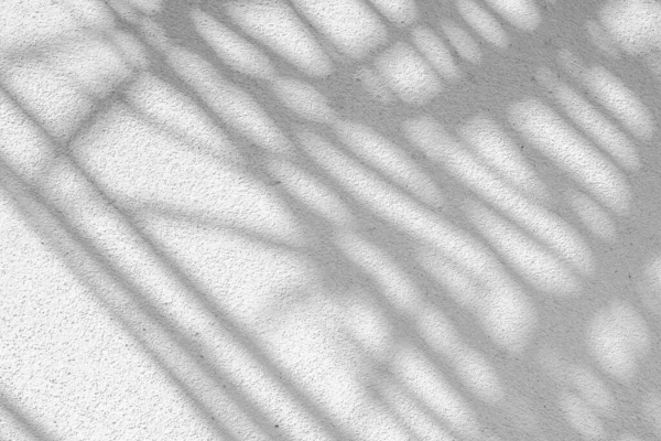 Black White Abstract Background Texture Shadows Leaf Concrete Wall — Stock Photo, Image