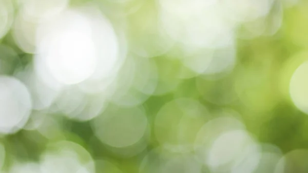 Sunny Abstract Green Nature Background Blur Park Bokeh Light Nature — Stock Photo, Image