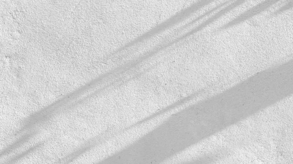 Fondo Abstracto Blanco Negro Textura Hoja Sombras Una Pared Hormigón — Foto de Stock