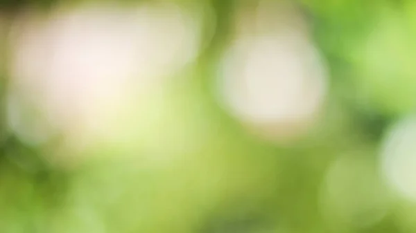 Solig Abstrakt Grön Natur Bakgrund Blur Park Med Bokeh Ljus — Stockfoto
