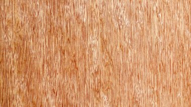 tasarım için grunge ahşap tahta Doku arka plan