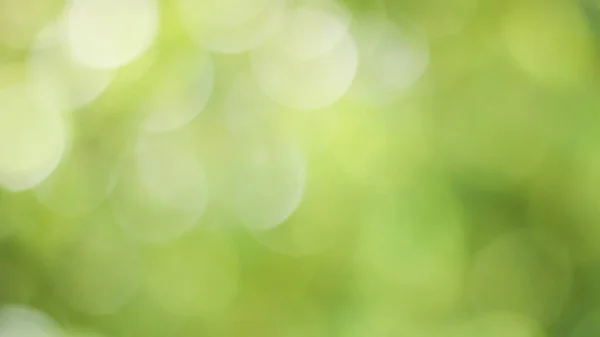 Güneşli Soyut Yeşil Doğa Arka Planı Bokeh Işığı Doğa Bahçe — Stok fotoğraf