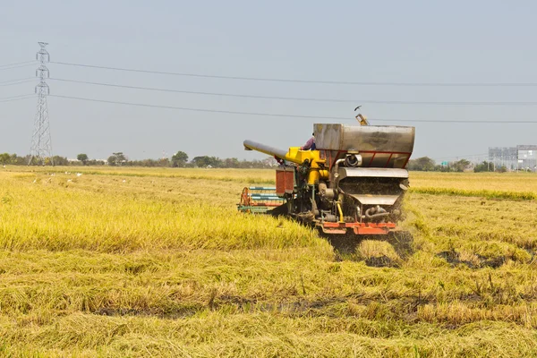Ris kombinerer høstmaskine - Stock-foto