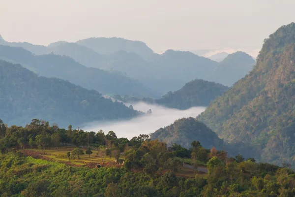 Гора и туман на рассвете — стоковое фото