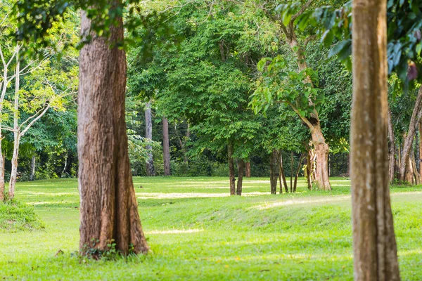 Tent camping area — Stock Photo, Image