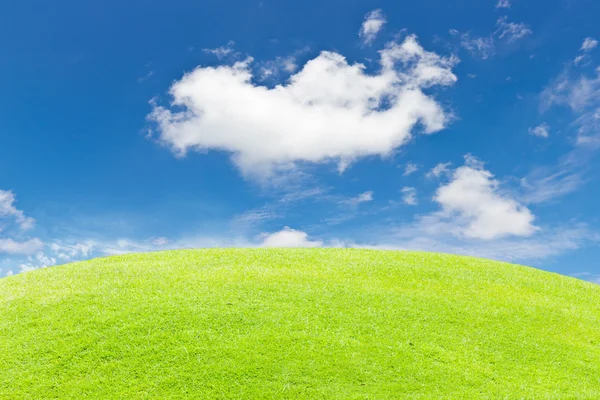 Gräs fält och blå himmel — Stockfoto