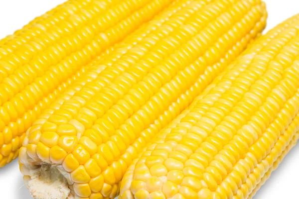 Sweet corn — Stock Photo, Image