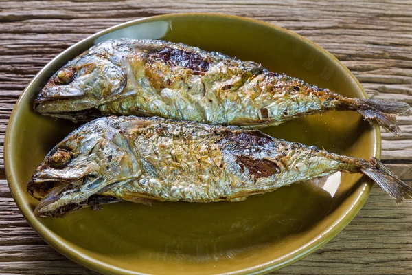 Fried mackerel fish — Stock Photo, Image