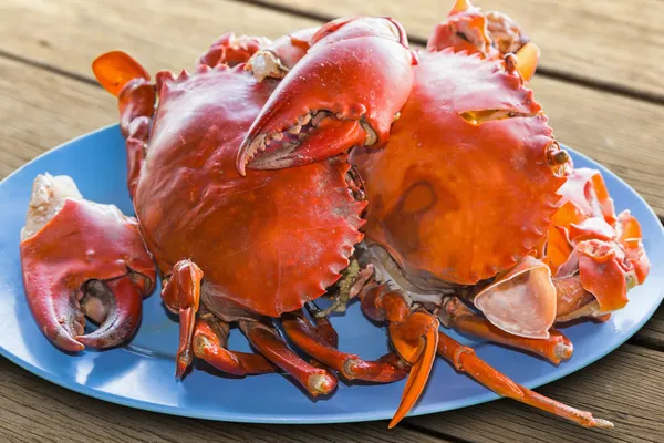 Skaldjur (krabba) — Stockfoto