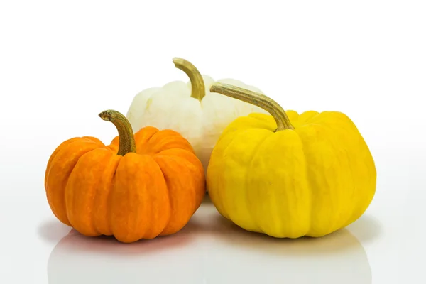 Calabaza decorativa — Foto de Stock