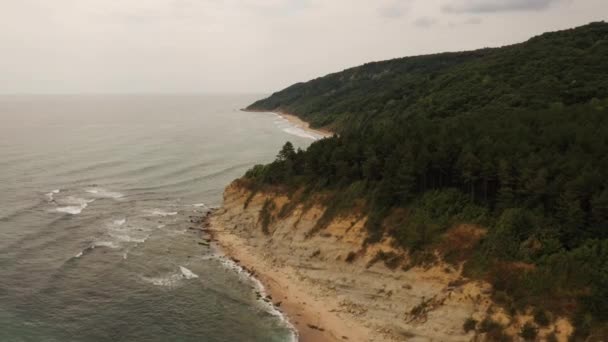 Antenowy dron widok na ocean Czarne morze piasek plaża skaliste góry klify gęsty las jasny słoneczny dzień — Wideo stockowe