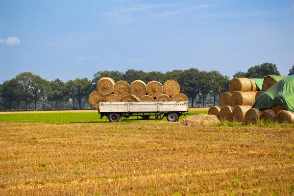 Balle di fieno su terreni agricoli — Foto Stock