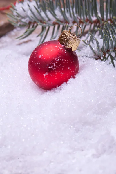 Červená vánoční koule pod borovicí — Stock fotografie