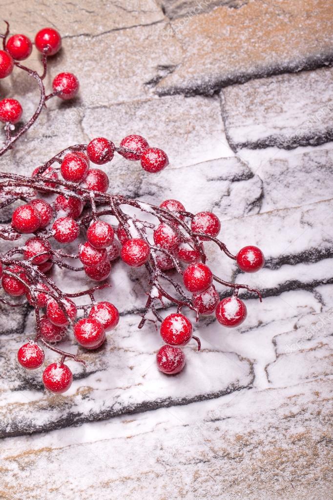 Red winter berries with powder snow