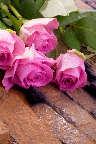 Rosas para el día de San Valentín — Foto de Stock
