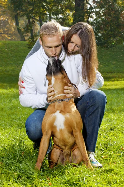 Šťastný mladý pár se psem — Stock fotografie