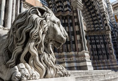 Aslan heykeli saint lorenzo Kilisesi