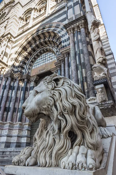 Lion statue of Saint Lorenzo church — Stock Photo, Image