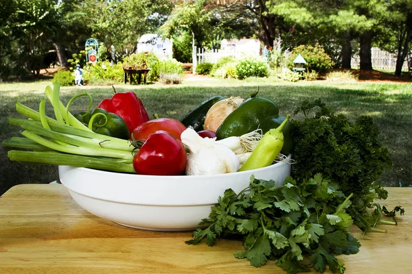 Bowl of Vegetables by Garden — Stock Photo, Image