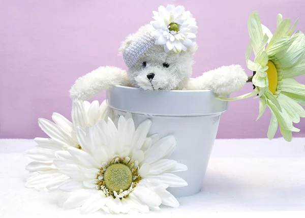 Urso de pelúcia dentro vaso de flores — Fotografia de Stock