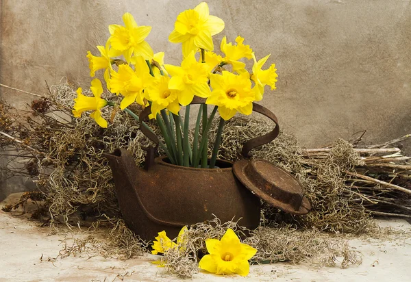 Daffodils in Rustic Antique TeaPot — Stock Photo, Image