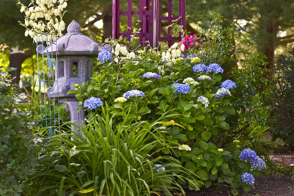 Schöne florale Gärten — Stockfoto