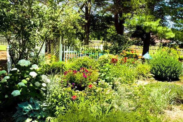 Krásné květinové zahrady — Stock fotografie