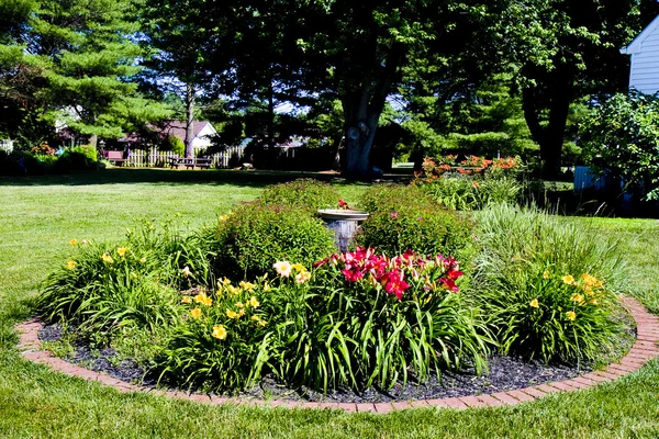 Vackra blommor trädgårdar — Stockfoto