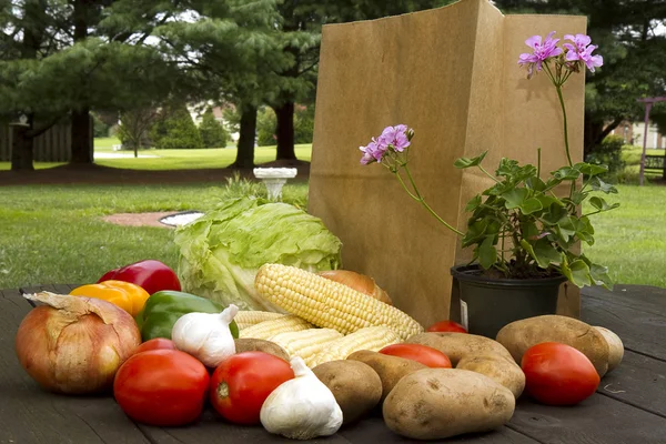 Alışveriş çantası andvegetables — Stok fotoğraf