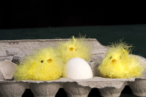 Drei neugierige Küken mit geknacktem Ei — Stockfoto