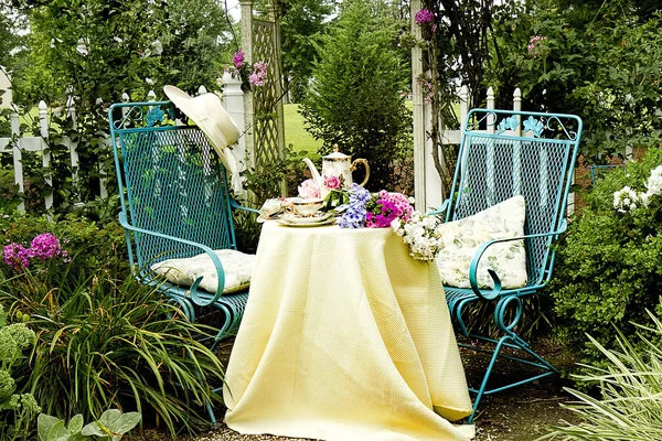 花园里的茶 — 图库照片