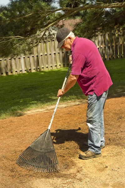 Retired man Raking — Stock Photo, Image