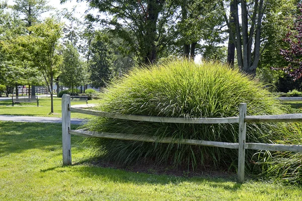 Montículo de hierbas —  Fotos de Stock
