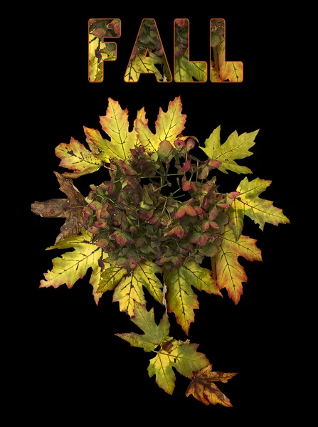 Fondo de caída con hojas —  Fotos de Stock
