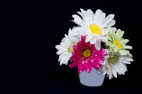 Grote faux madeliefjes in planter — Stockfoto