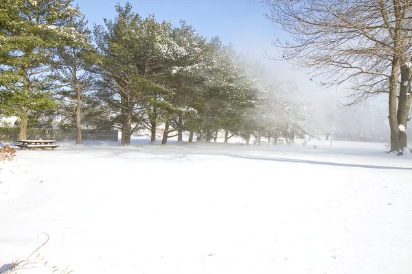Nieve Torbellino de viento — Foto de Stock