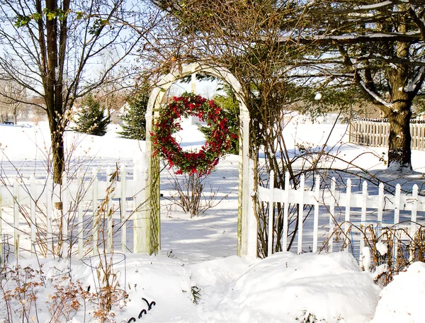 Cranberry Wreath Outdoors After Storm — Stock Photo, Image