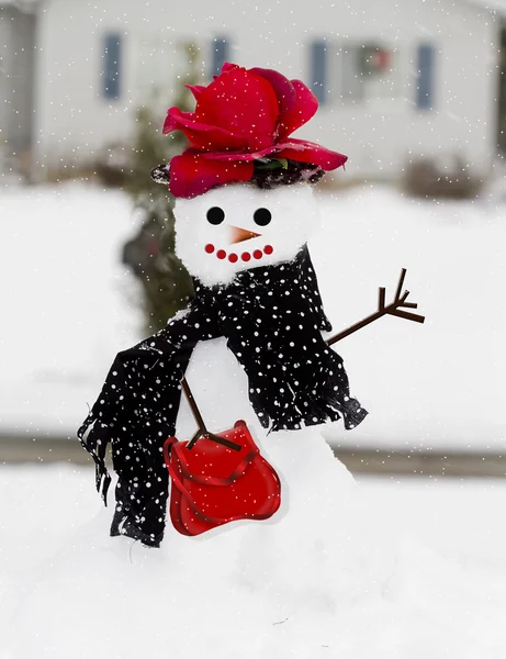 Patriotic Snow Man and Snowlady — Stock Photo, Image