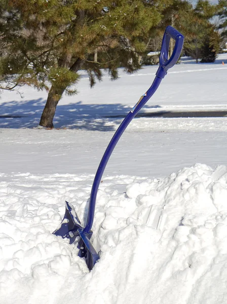 Blauwe sneeuw schop in sneeuw — Stockfoto