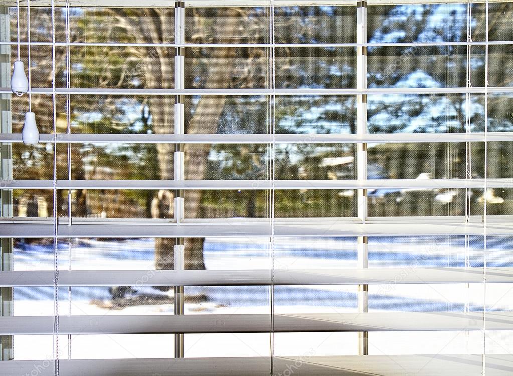 Snow Scene Through Window Blinds