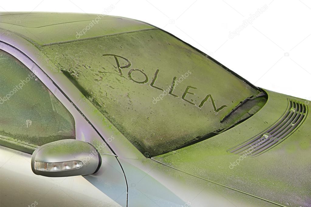 Pollen on Car