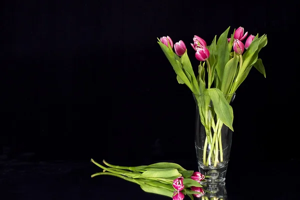 Kytice růžových tulipánů — Stock fotografie