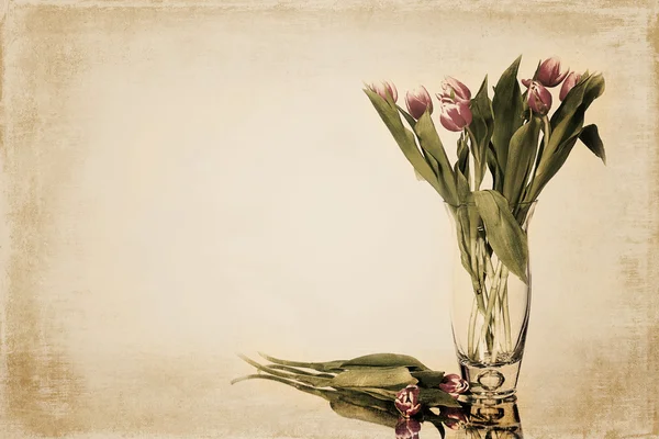 Vintage Background of Tulips — Stock Photo, Image