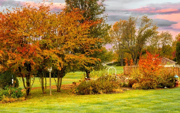 美丽的秋天树叶在后院和花园里的形象 太阳落山了 — 图库照片