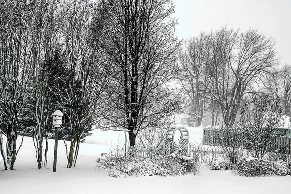 Backyard View Home Cold Winter Snowy Day Garden Birdhouse Included — Stock Photo, Image