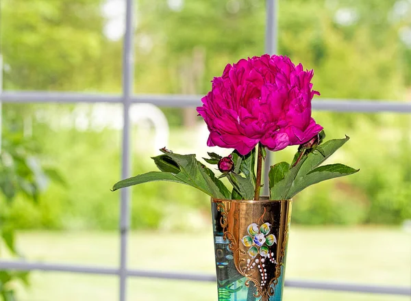 白い窓から屋外の景色を眺めながらテーブルの上に座っているアンティークベネチアン グラスの美しいフクシア 牡丹の花の閉鎖 — ストック写真